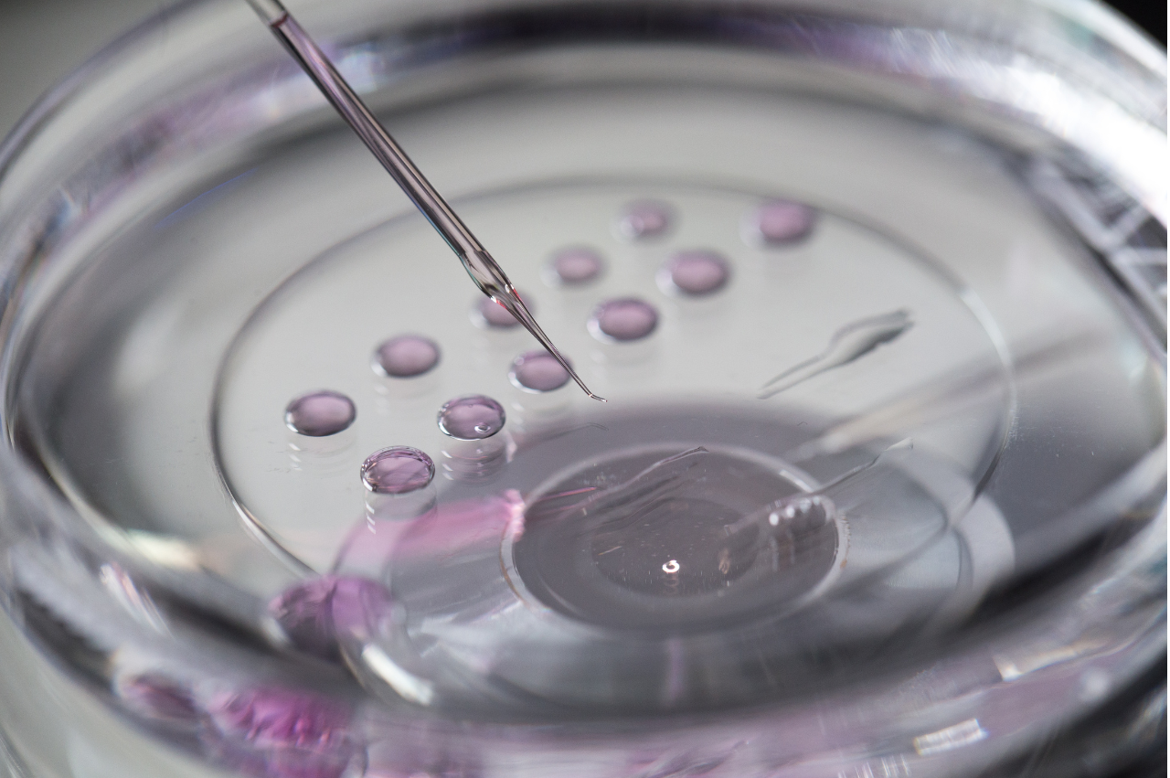 Does Health Insurance Cover Donor Eggs?